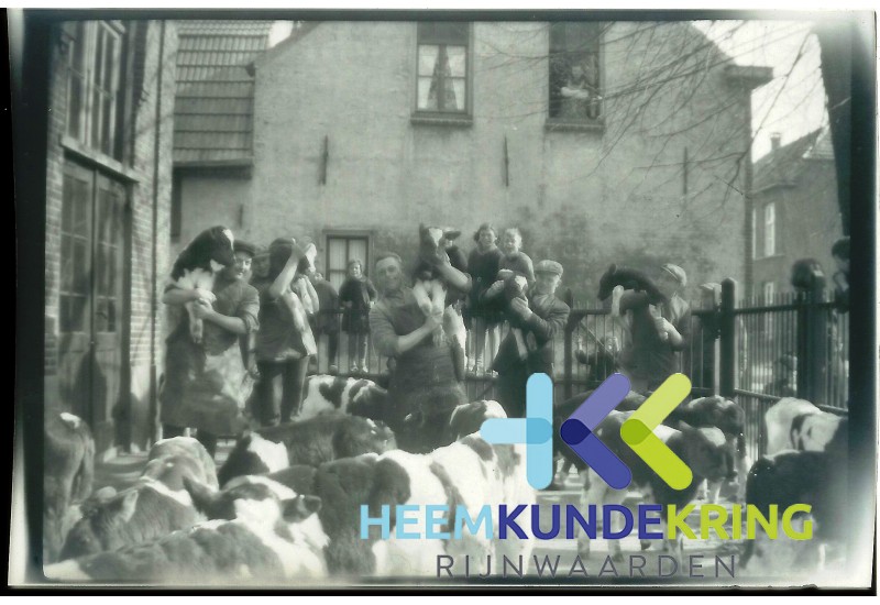 Coll. J.Peet-HKR 18